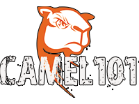 Camel 101